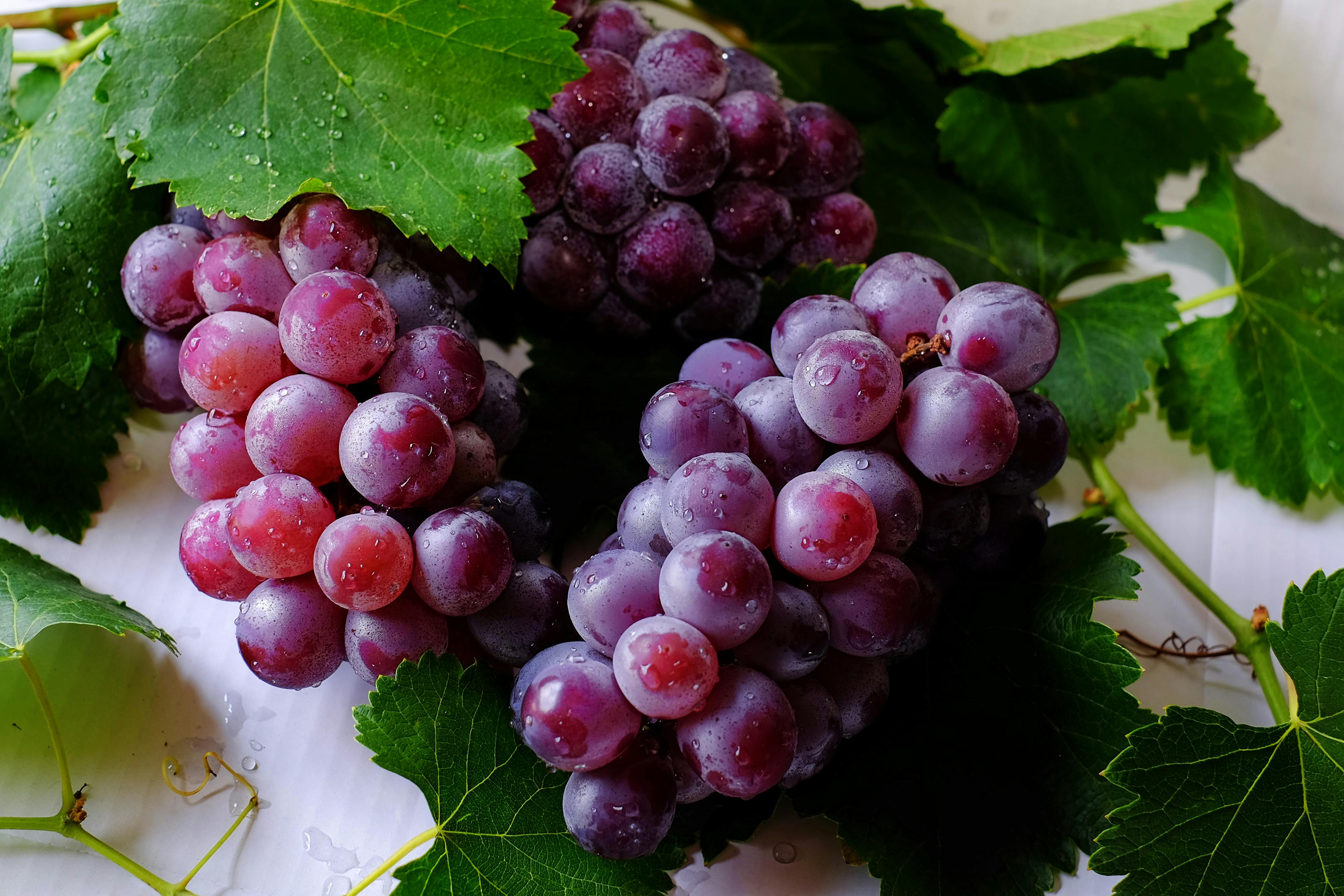Table Grapes